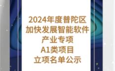 2024年度普陀区加快发展智能软件产业专项A1类项目立项名单公示哔哩哔哩bilibili