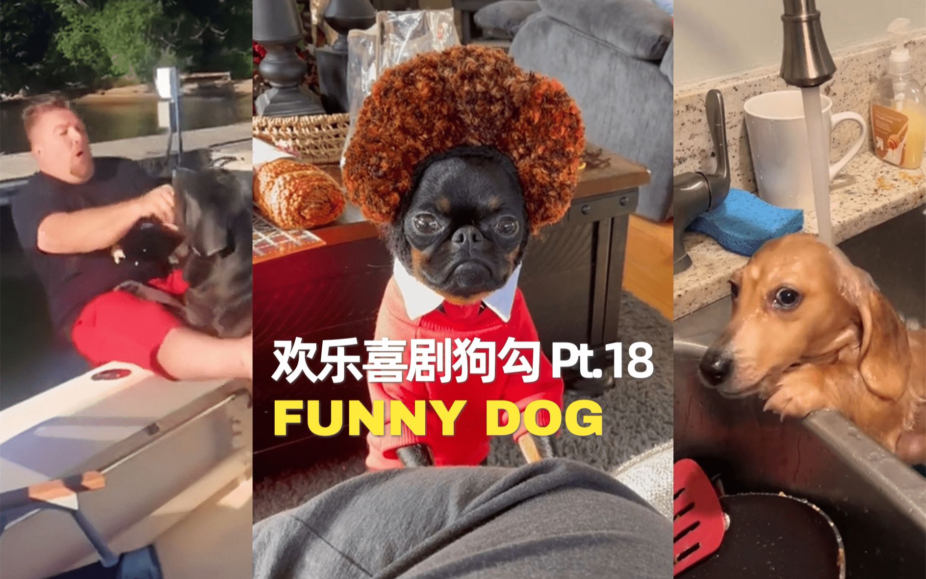 欢乐喜剧狗勾 Pt.18_哔哩哔哩_bilibili