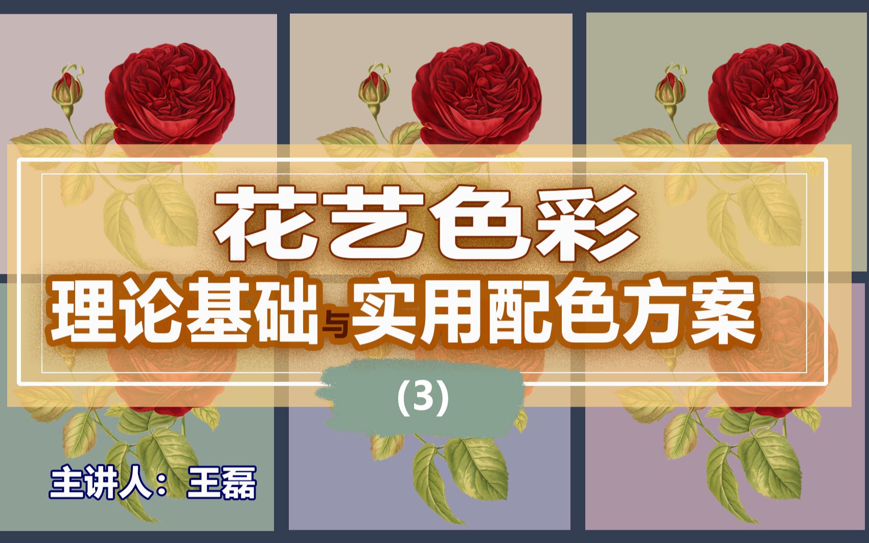 花艺色彩设计(3)减法混色、CMY色环、RYB色环、RGB色环制作、区别,色相、色相渐变的概念和花艺中的应用哔哩哔哩bilibili