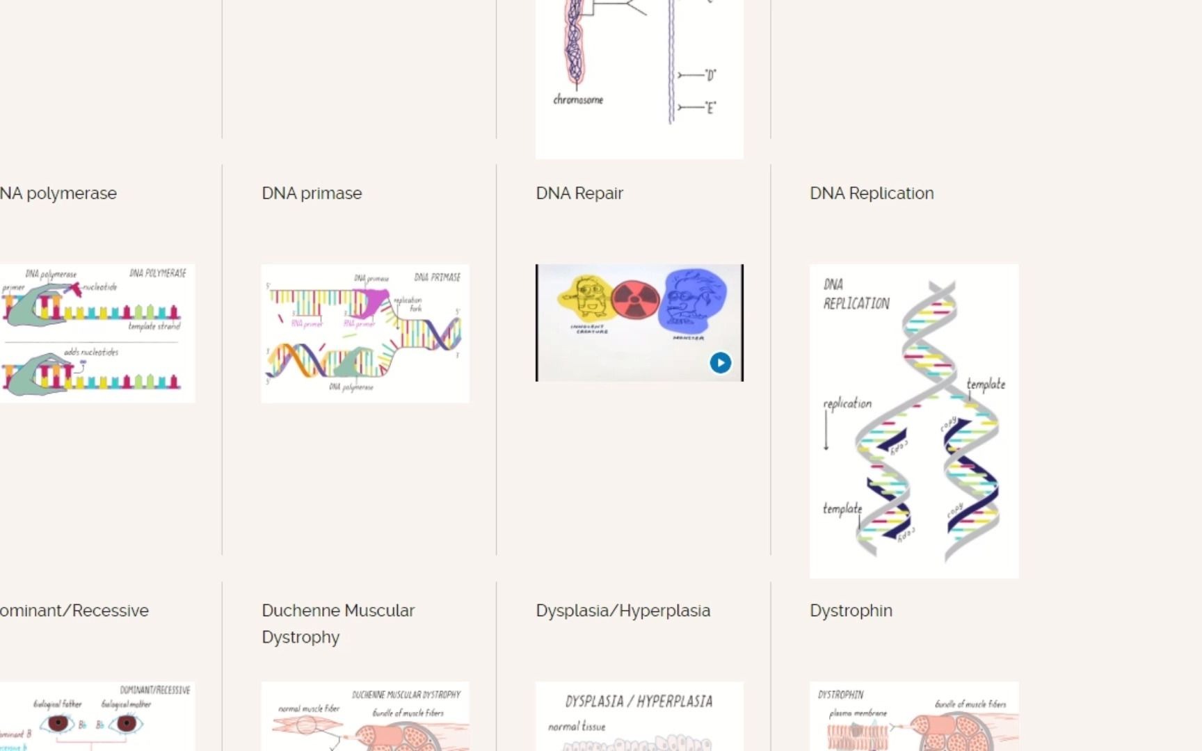 【生物学专业英语】Xbio 名词解释速过哔哩哔哩bilibili