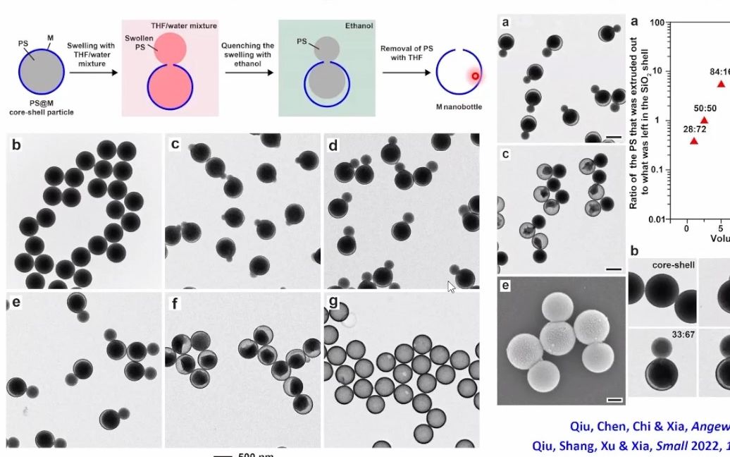 20230929美国佐治亚理工学院夏幼南Nanobottles for Encapsulation and Controlled Release哔哩哔哩bilibili