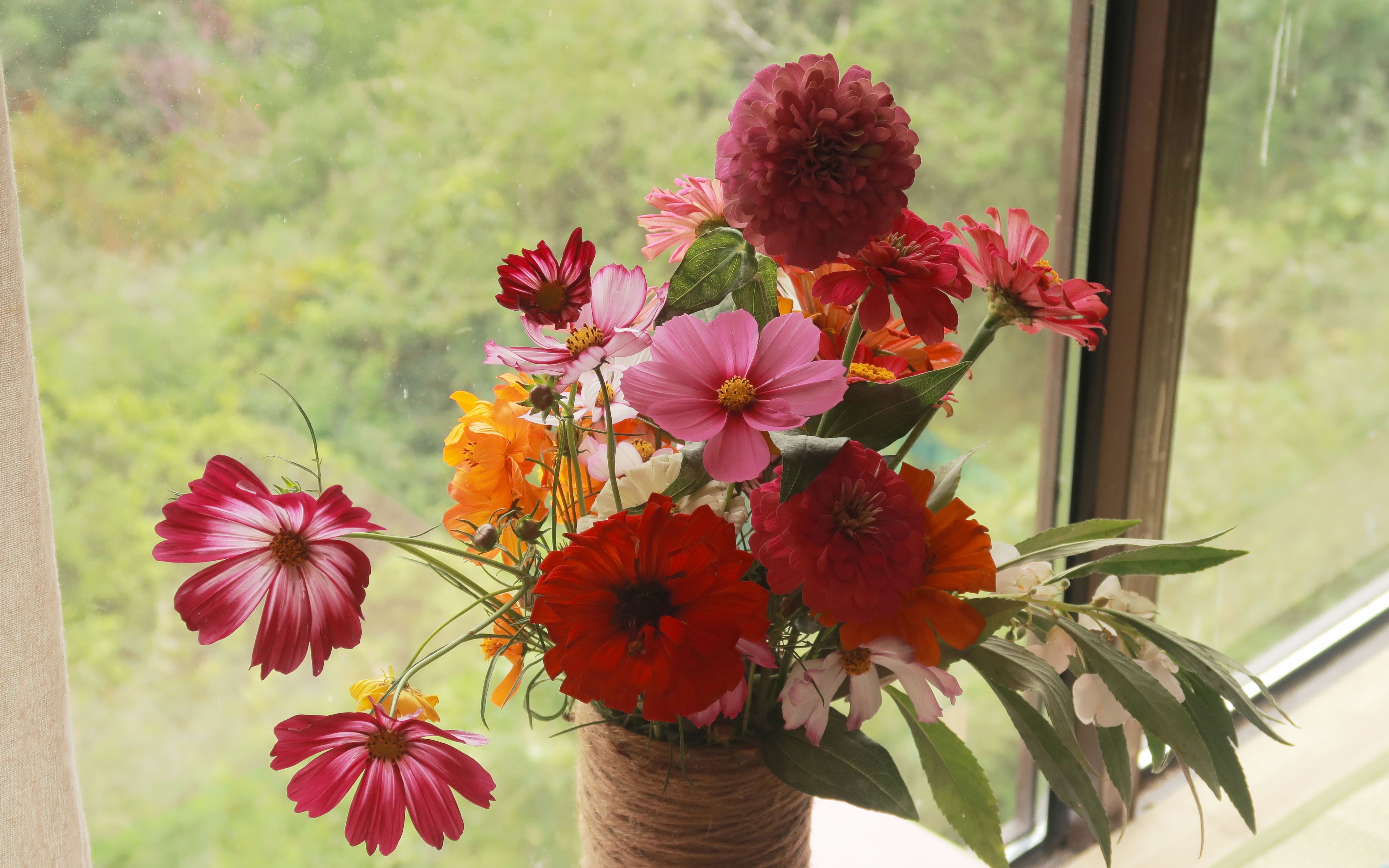 山居慢生活丨插花可以多"野"?