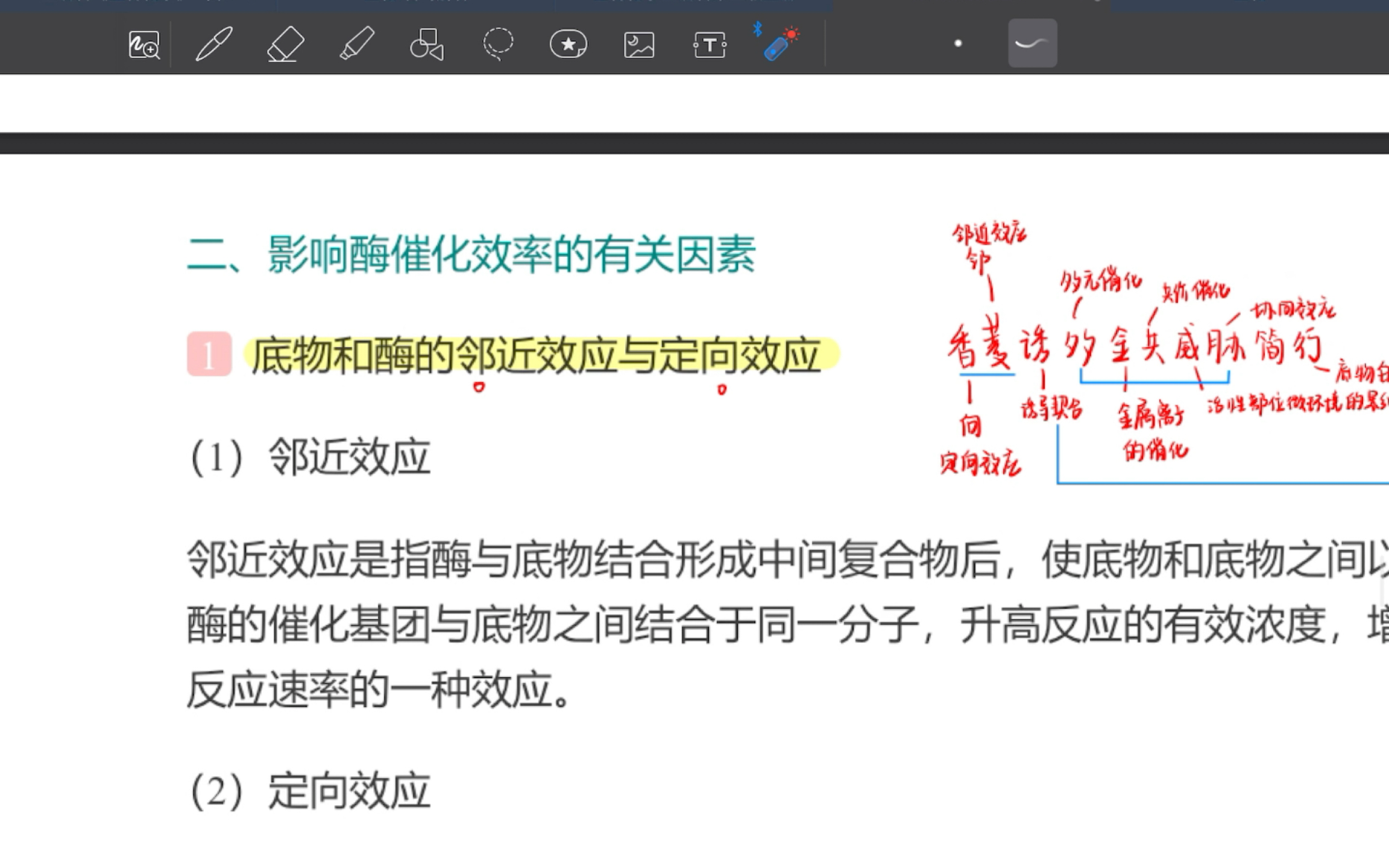 影响酶催化效率的有关因素|研究酶活性部位的方法|记忆口诀|自用哔哩哔哩bilibili