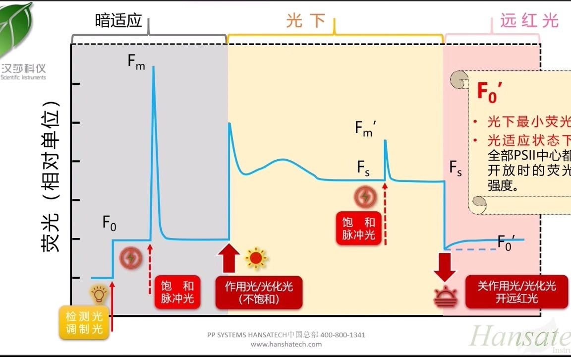 英国Hansatech公司FMS2+便携式脉冲调制荧光仪使用培训哔哩哔哩bilibili