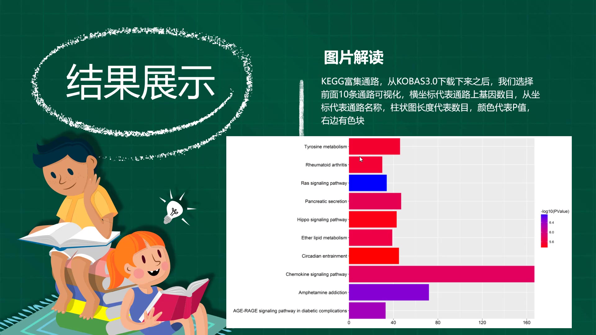 KEGG富集分析KOBAS3.0在线预测结果可视化R绘图哔哩哔哩bilibili