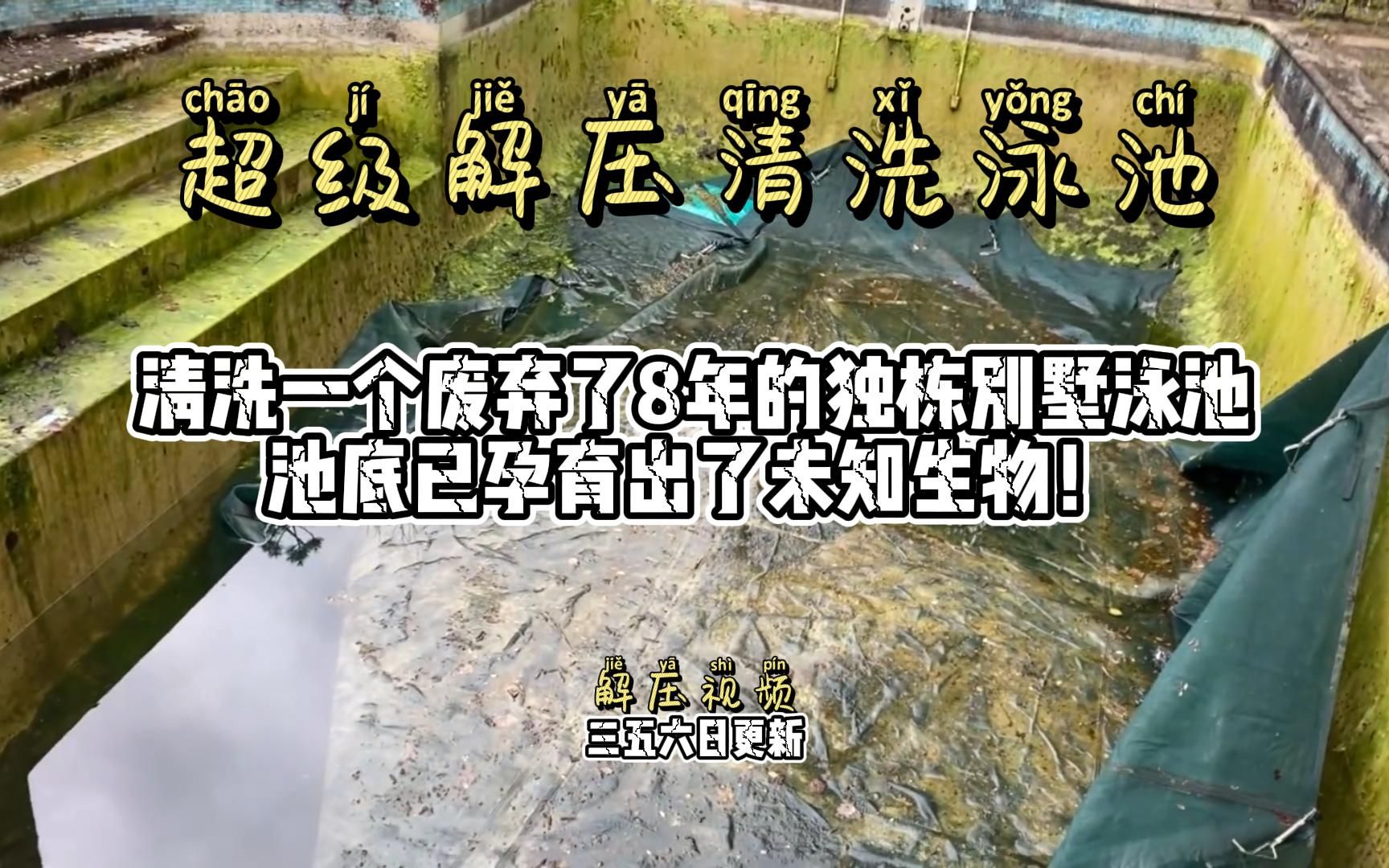 荒废8年的泳池能孕育出什么新生物?脏爆的泳池清洗竟如此解压!哔哩哔哩bilibili