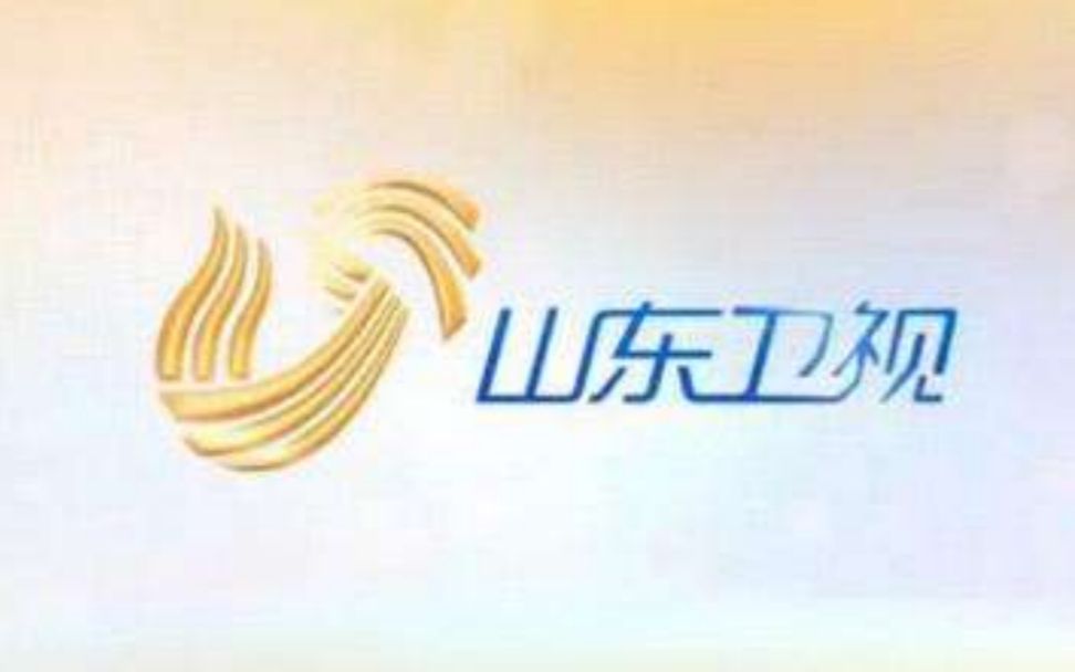 2008山东卫视广告图片
