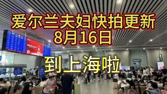 Descargar video: 【爱尔兰高个夫妇】8.16 ins快拍更新：上海