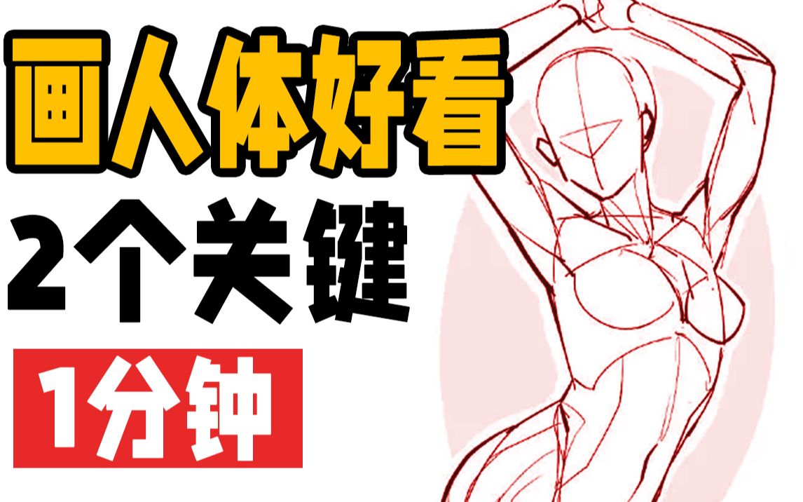 画人体很丑吗?学会这2招,快速掌握画好看人体秘籍!【绘画教程|ps sai 二次元板绘原画插画】哔哩哔哩bilibili