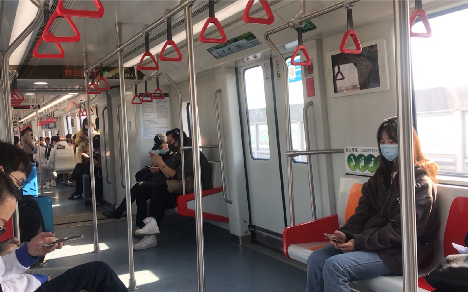 上海地铁16号线16a02抹茶二世16056惠南野生动物园运行区间