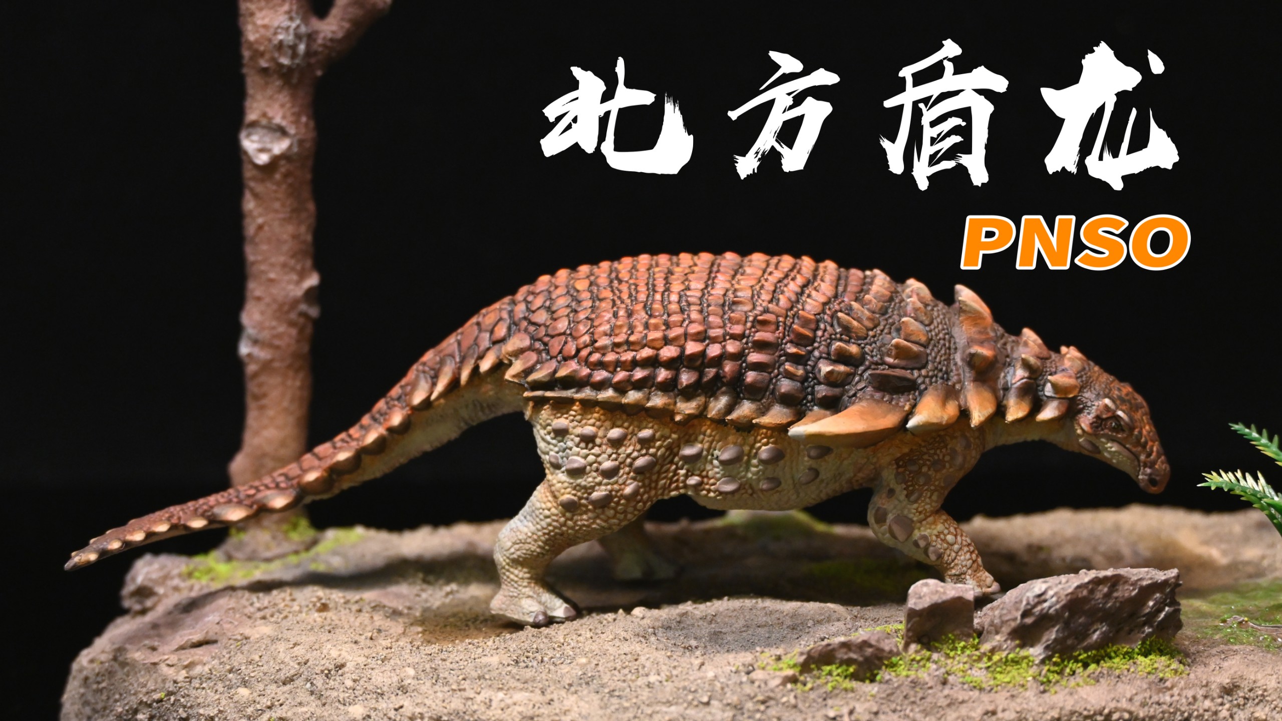 客单定制:pnso北方盾龙重涂展示