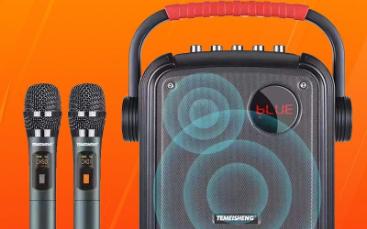 特美声广场舞户外音响手提便携式带无线蓝牙话筒移动小型唱歌音箱8588