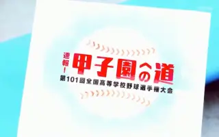 甲子園への道 搜索结果 哔哩哔哩 Bilibili