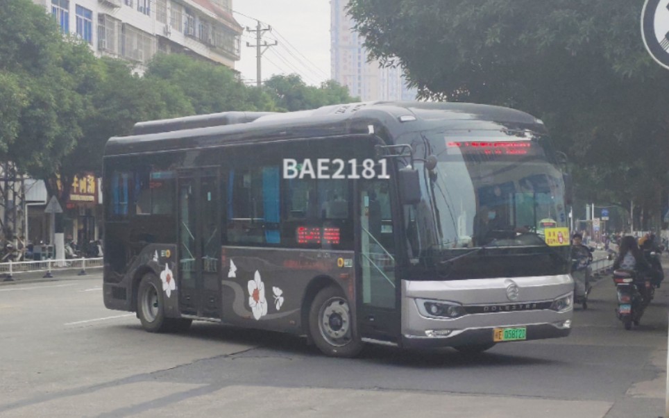 【新车慢递】【漳州公交】漳浦公交xml6855jevy0c3走行音