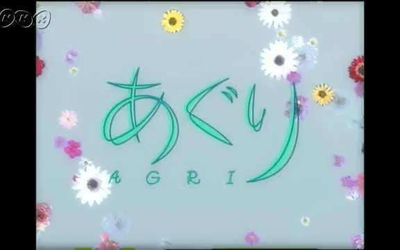 【NHK晨间剧】1997年4月期《亚久里》(田中美里)片段 晨间剧第56作哔哩哔哩bilibili