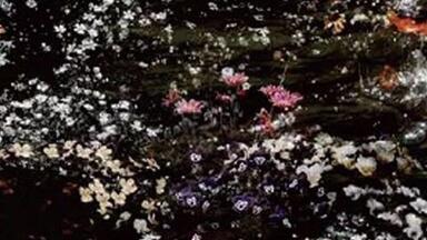 福間創 Flowers 福間創さん | うにょろぐ