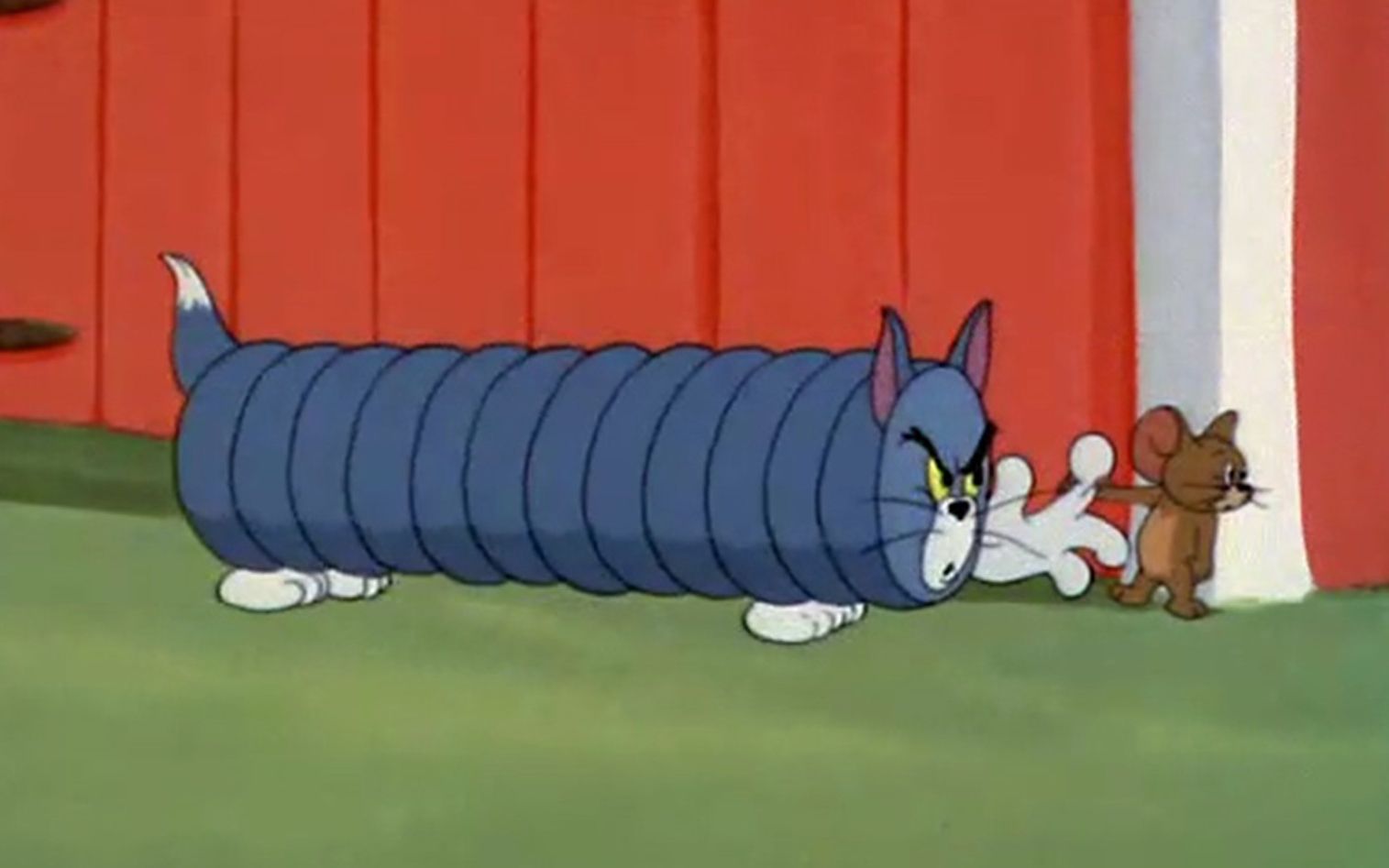 活动  【猫和老鼠】(互动视频)汤姆形变集合 特别篇