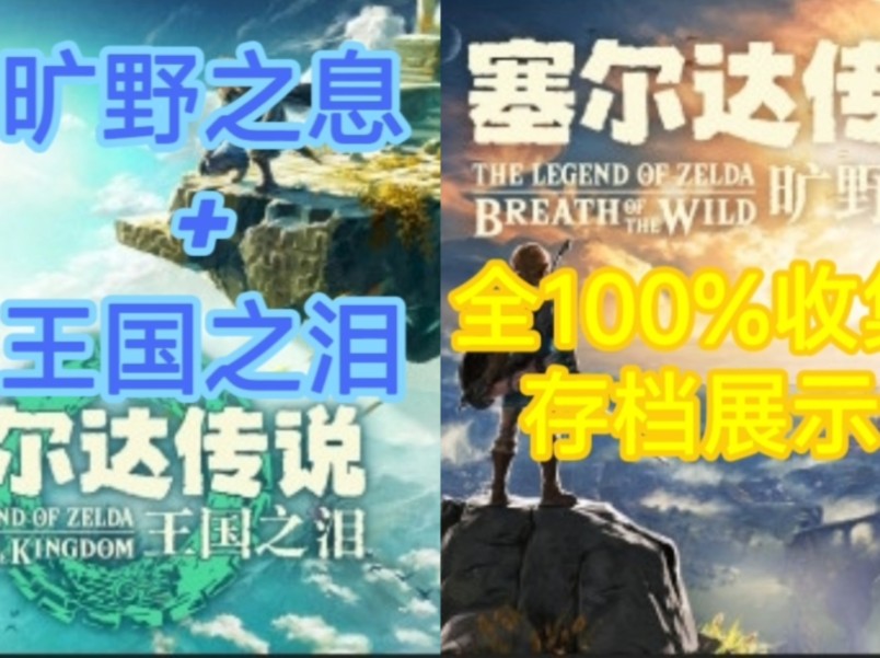 [图]【塞尔达传说】旷野之息&王国之泪双100%收集存档展示