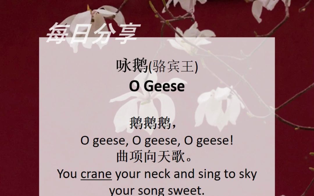 《 咏鹅》英文翻译 鹅鹅鹅