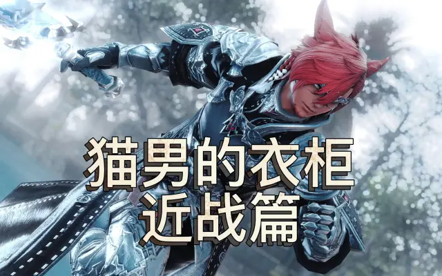 【ff14】黑皮猫男的幻化柜(近战篇)
