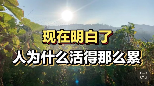 为何很多人都在说,这辈子活着太累了?那是因为你不走寻常路哔哩哔哩bilibili