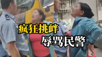 Download Video: 沈阳一起交通事故现场，女子自称孕妇辱骂民警“袭警怎么了？大不了进去三个月！”