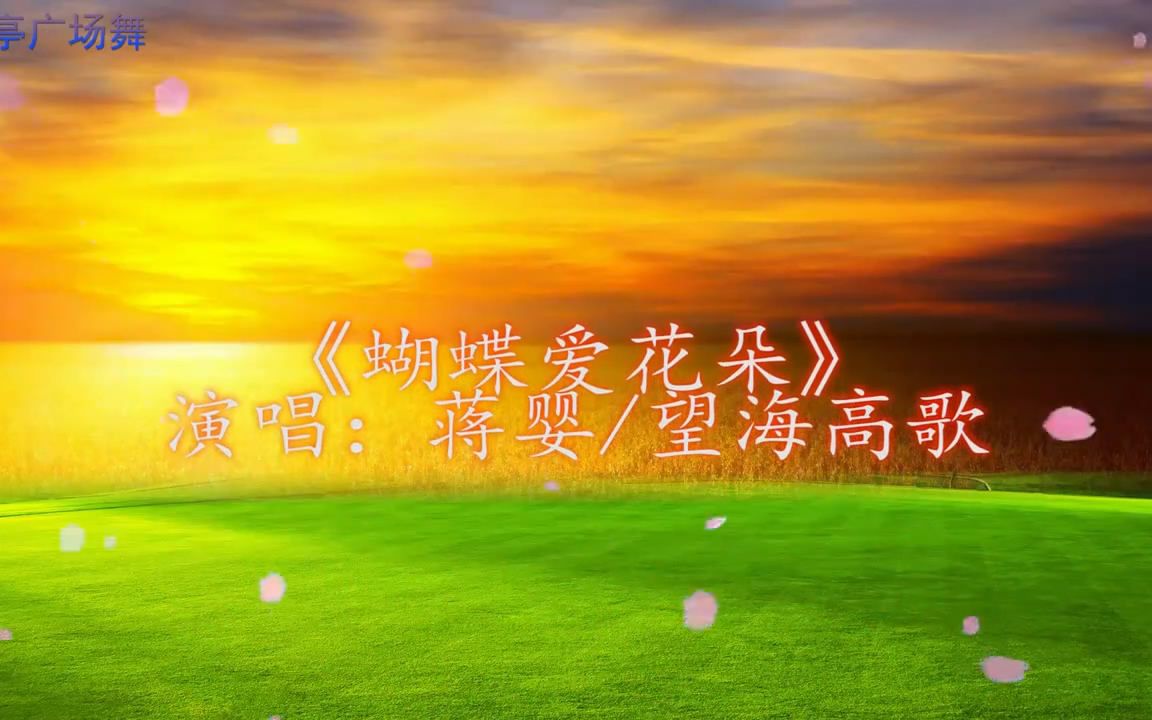 [图]蝴蝶爱花朵 歌曲伴奏广场舞