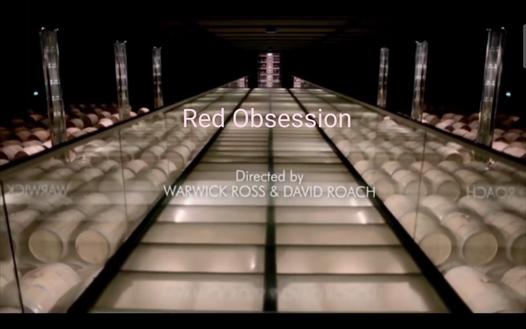 [图]Red Obsession《红色情结》2013