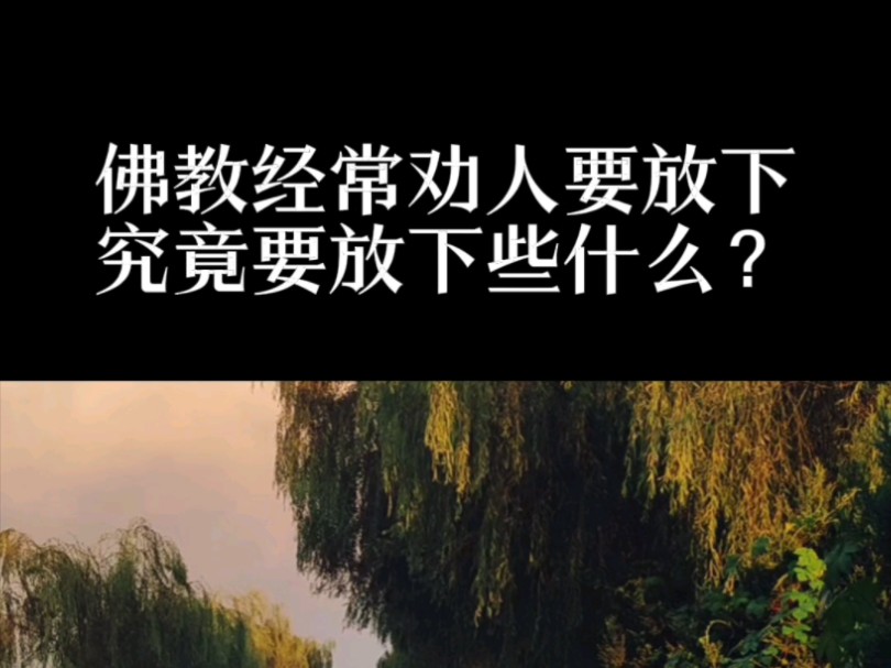 佛教经常劝人要放下,究竟要放下些什么呢?哔哩哔哩bilibili