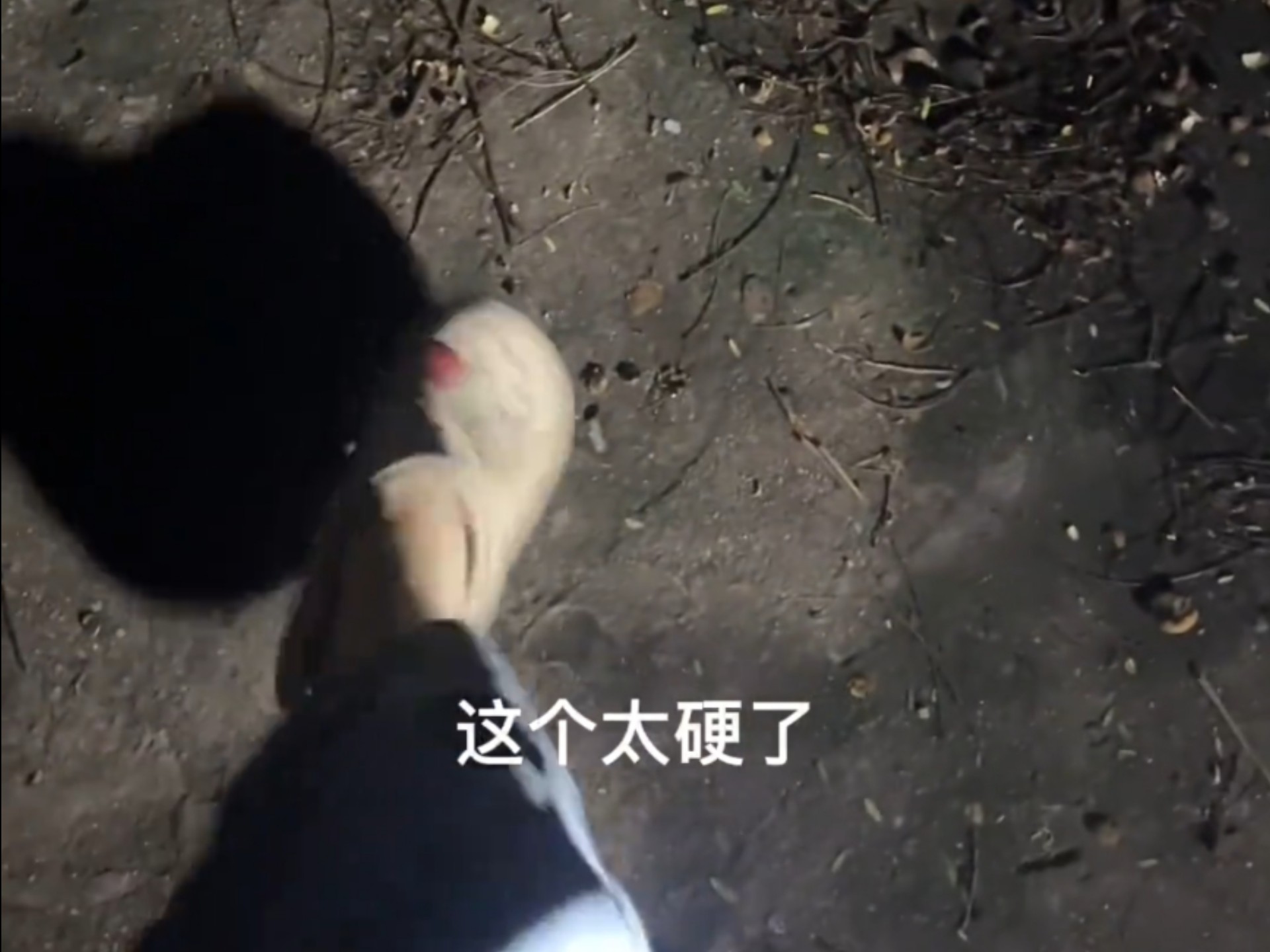 小姐姐洞洞鞋踩蜗牛,硬邦邦