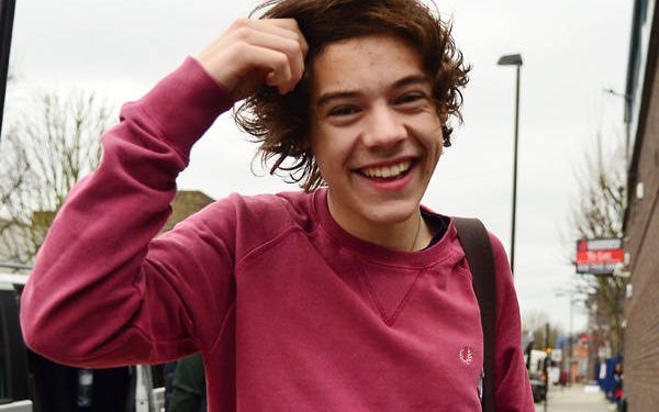 styles】斯泰尔斯先生的蠢萌时刻合集- 安利向-harrys endearingly