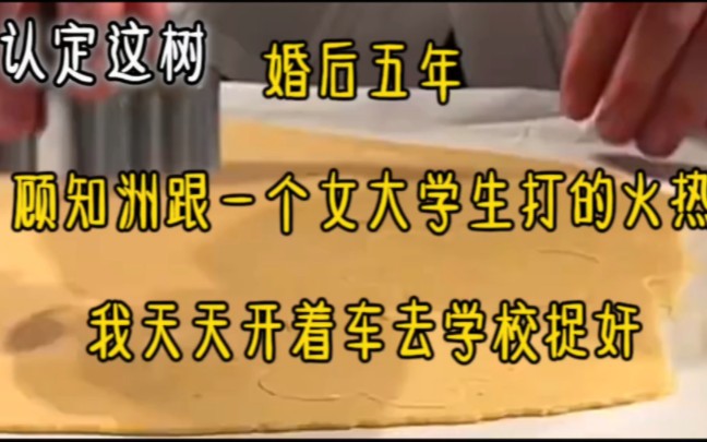 《认定这树》婚后五年,顾知洲跟一个女大学生打的火热,我天天开着车去学校捉奸哔哩哔哩bilibili