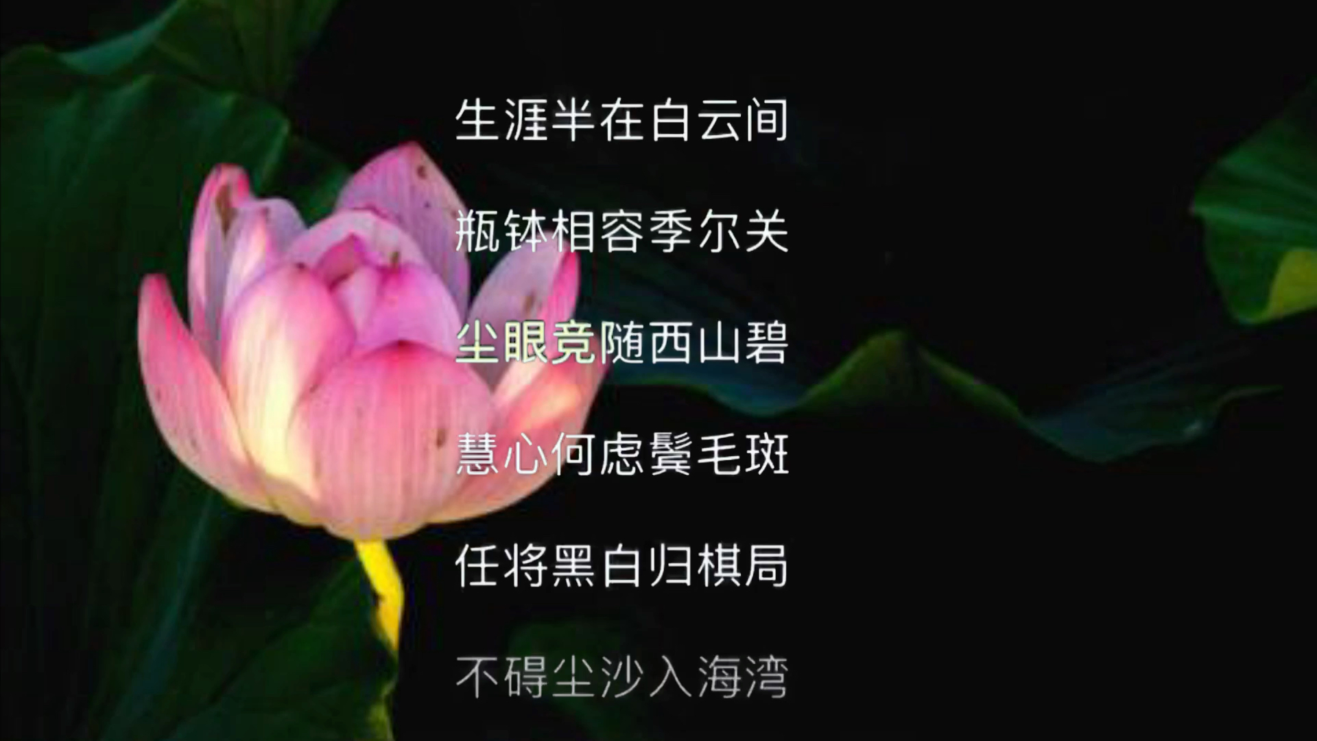 [图]《禅悦》高僧作词，一级作曲家作曲，推荐大家真的一定要听一下