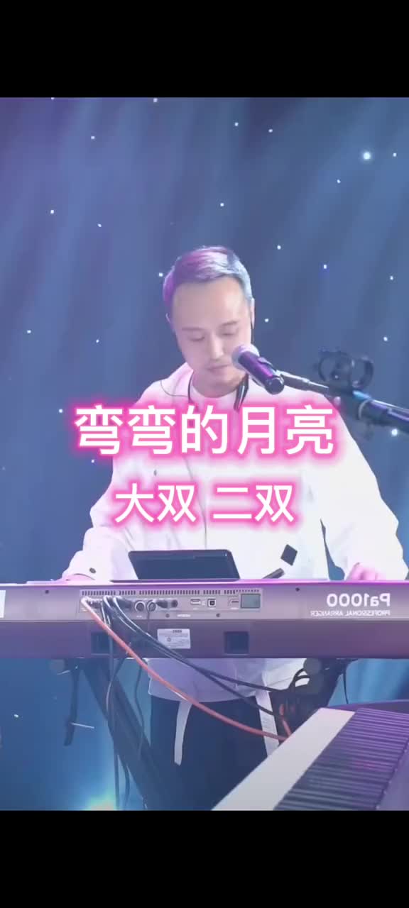 [图]弯弯的月亮大双二双抖音音乐人实力派歌手现场版live那些回忆