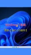 Download Video: Win11系统，【.NET 3.5组件】