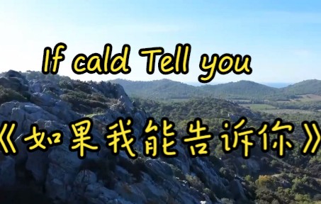 纯音乐If could Tell you《如果我能告诉你》哔哩哔哩bilibili