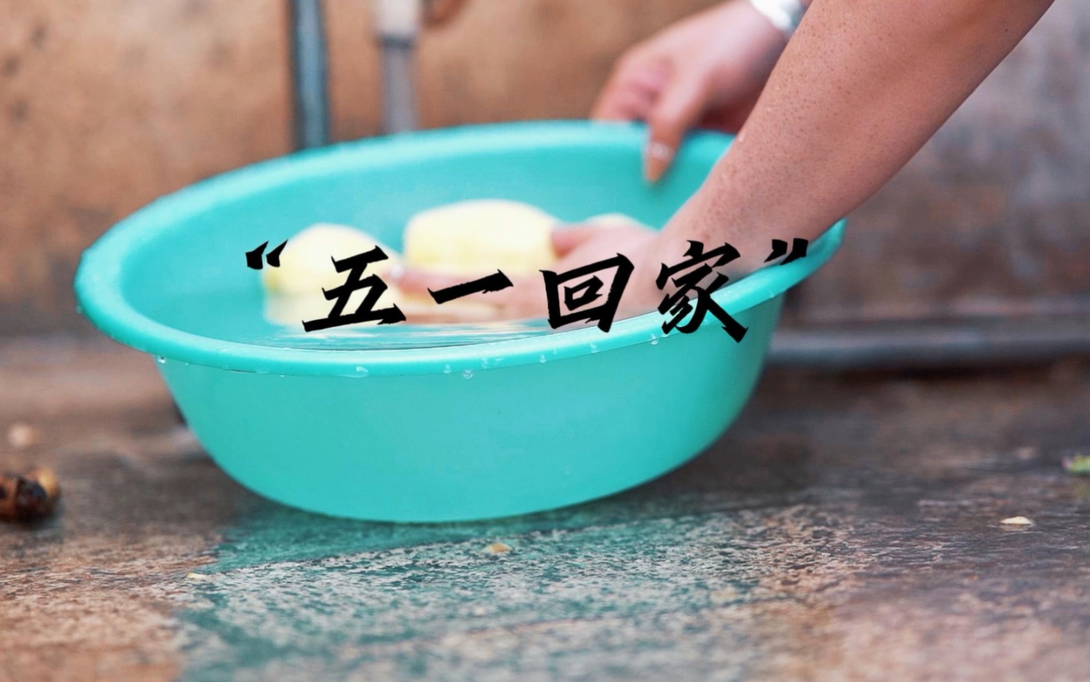 五一你回家了吗?