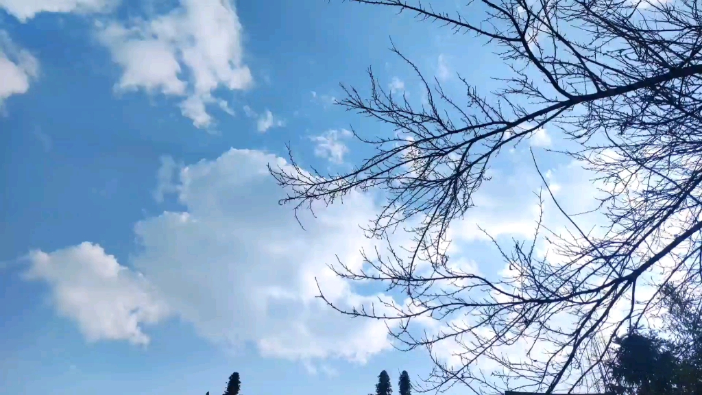 阳光明媚的冬日宛如温暖和煦的初春