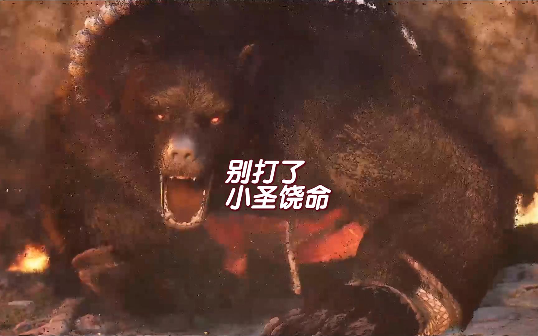 黑风怪打法分享