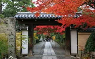龙安寺 搜索结果 哔哩哔哩弹幕视频网 つロ乾杯 Bilibili