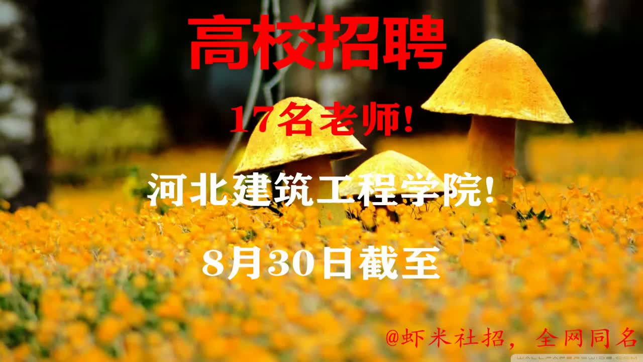 【河北高校招聘】17名老师!河北建筑工程学院!8月30日截至哔哩哔哩bilibili