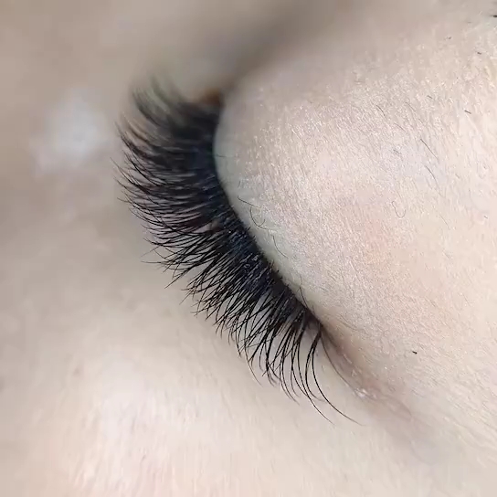 扇形睫毛_哔哩哔哩_bilibili