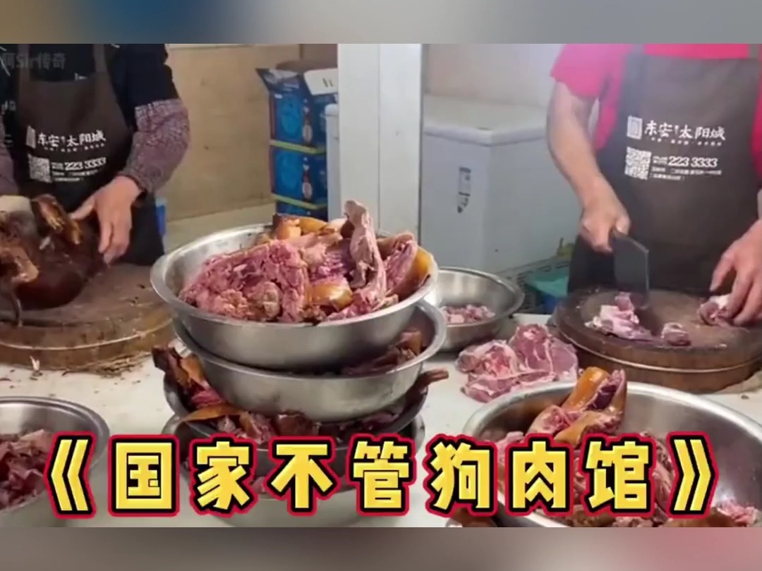 大型纪录片《狗肉馆》持续为您播出哔哩哔哩bilibili