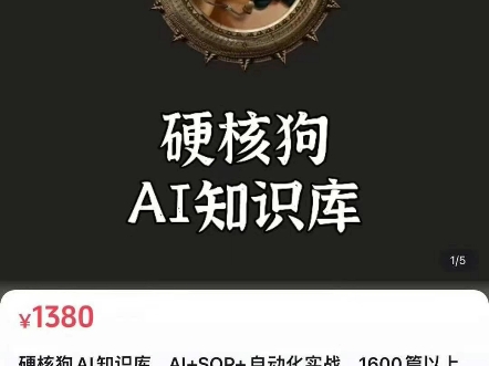 硬核狗 AI知识库,AI+SOP+自动化实战,1600篇以上的问答沉淀哔哩哔哩bilibili