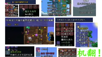 一个封面让你知道泰拉瑞亚官方中文多尴尬