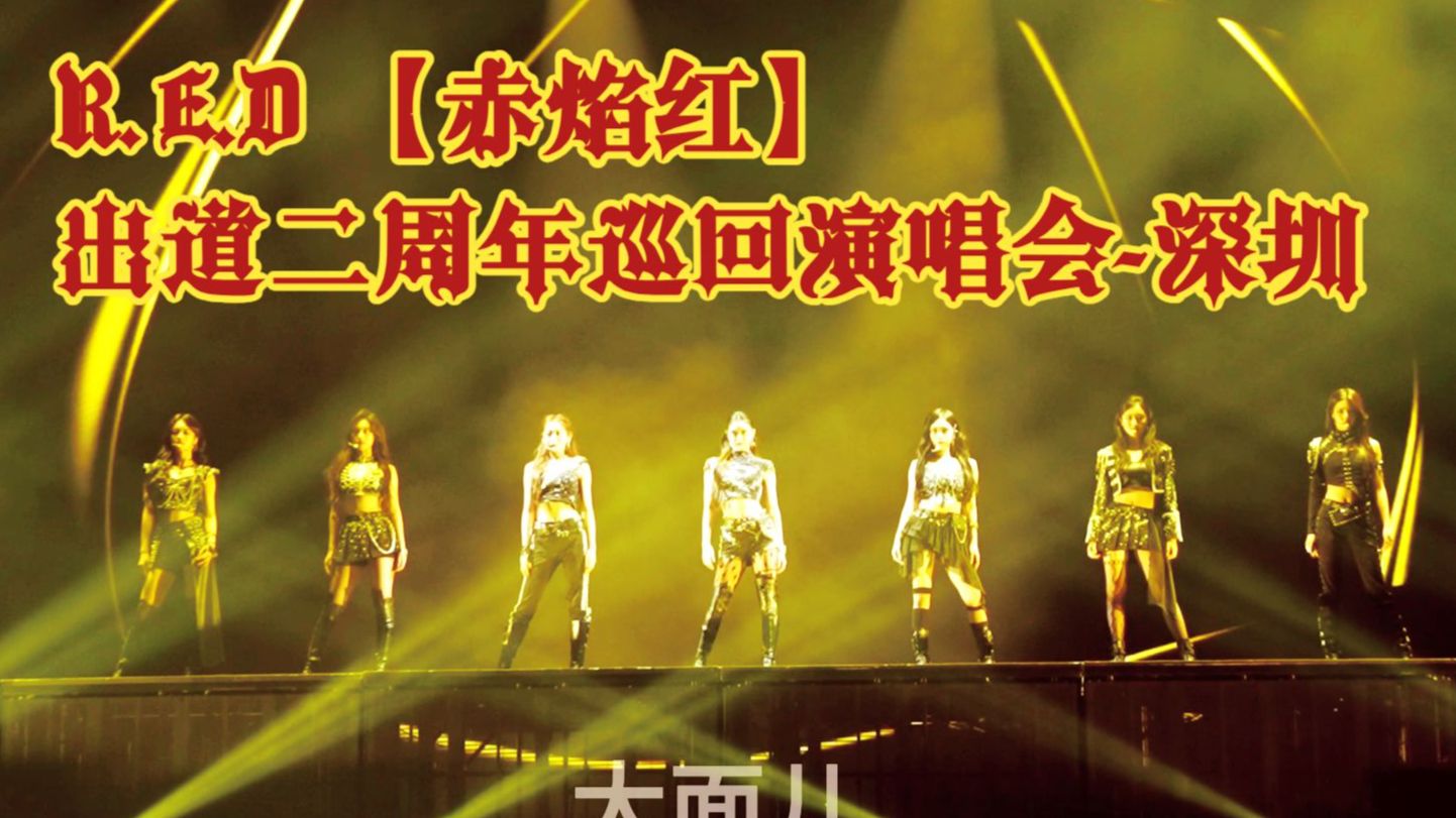 4K完整版|【R.E.D组合】260711出道两周年深圳演唱会团拍（音源字幕优化完成）