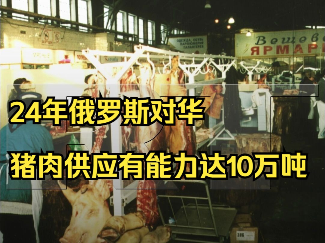 俄官员:2024年俄对华猪肉供应量有能力达10万吨哔哩哔哩bilibili