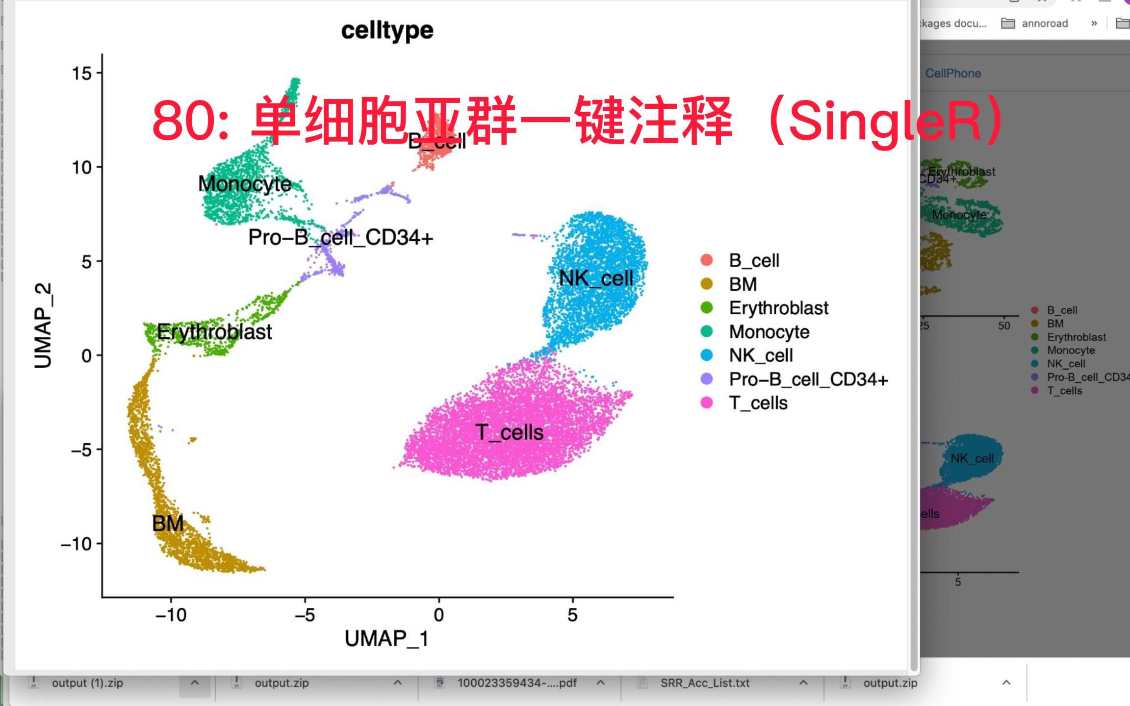 80: 单细胞亚群一键注释分析(SingleR)哔哩哔哩bilibili