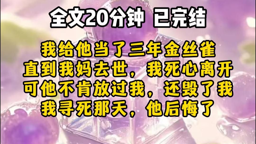 【一口气看完】我不恨你了，因为恨一个人太累了。但我也不想再回头了