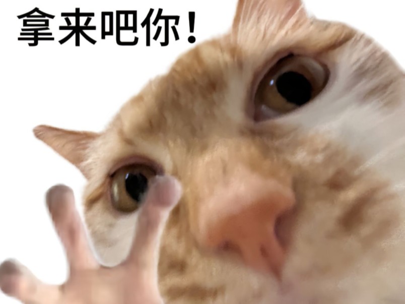 每日分享搞怪好玩的表情包